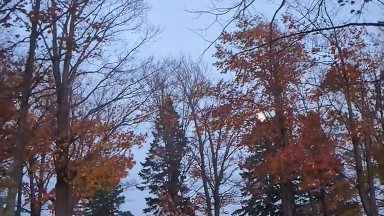 Full Moon Rising on Sunday Lake