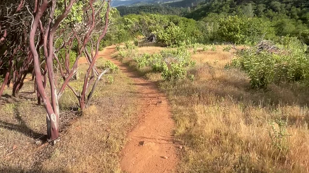 Hiking with my favorite bagel