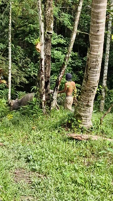 This Is Farm Life in the Philippines