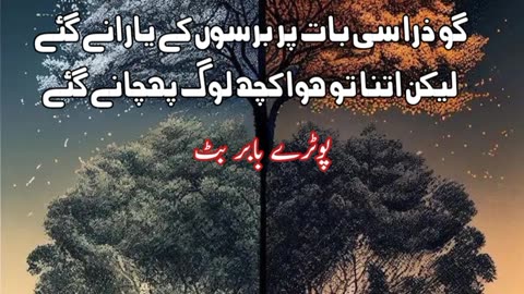 Goo zara c bat ..... Urdu sad poetry shayari status