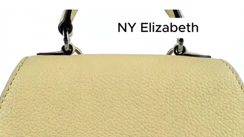 Moynat Shoulder Bag