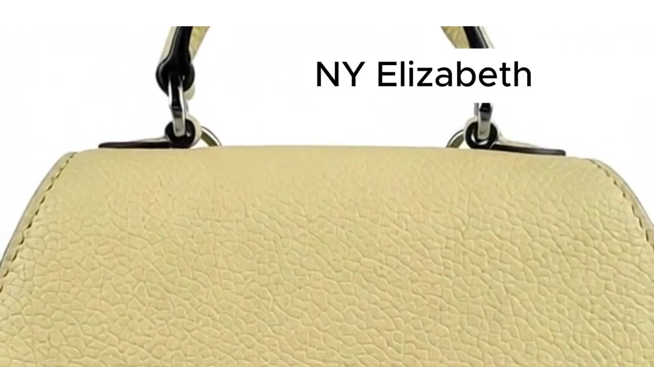 Moynat Shoulder Bag