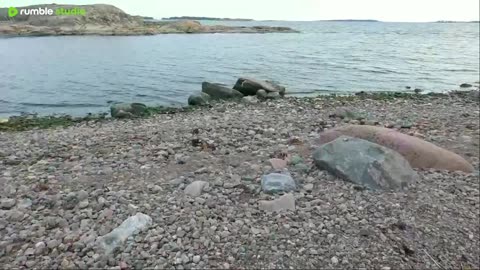 9 Days Alone: Building a Primitive Shelter on a Beach