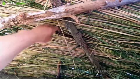 9 Days Alone: Building a Primitive Shelter on a Beach