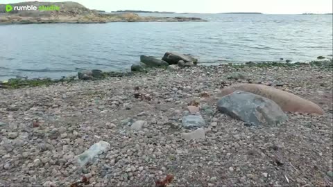 9 Days Alone: Building a Primitive Shelter on a Beach