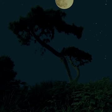 О ВСЕВЫШНИЙ #shorts #tompitai #томпитай