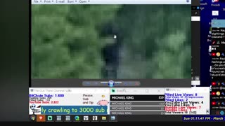 Comparing Bigfoot videos from the same location with Expedition Bigfoot best capture - TOTC