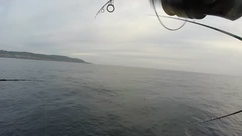 Half-Day PM Dolphin Sportfishing Trip #hookupbaits Calico, Bonito & Rockfish!