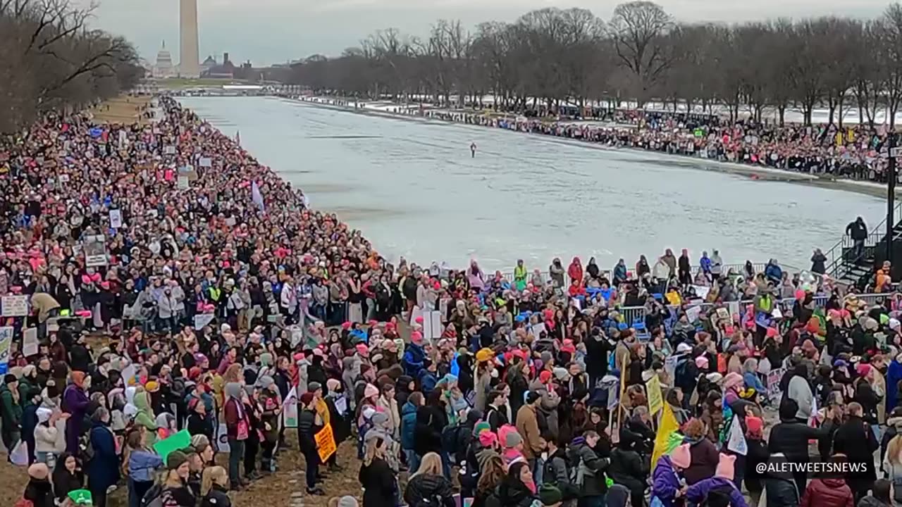 "Anti-Trump Protesters Rally Near the Lincoln Memorial"