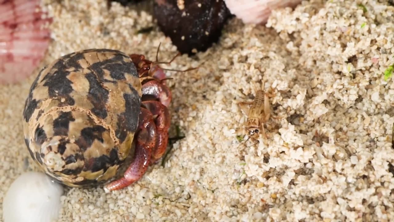 Simulating a Beach for 30 Days 🎬❤️⏰👨‍👨‍👧‍👧