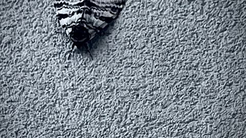 Scratch This! · Blake Cunningham