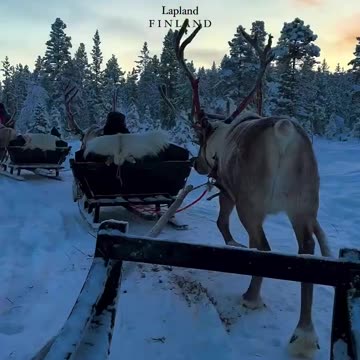 Beautiful winters landscape 😍