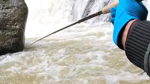 "Back to Nature: Fishing in a Hidden Paradise"