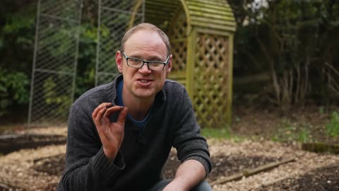 How to Grow Potatoes Like a Pro (My Best Tips for Bigger, Healthier Harvests)