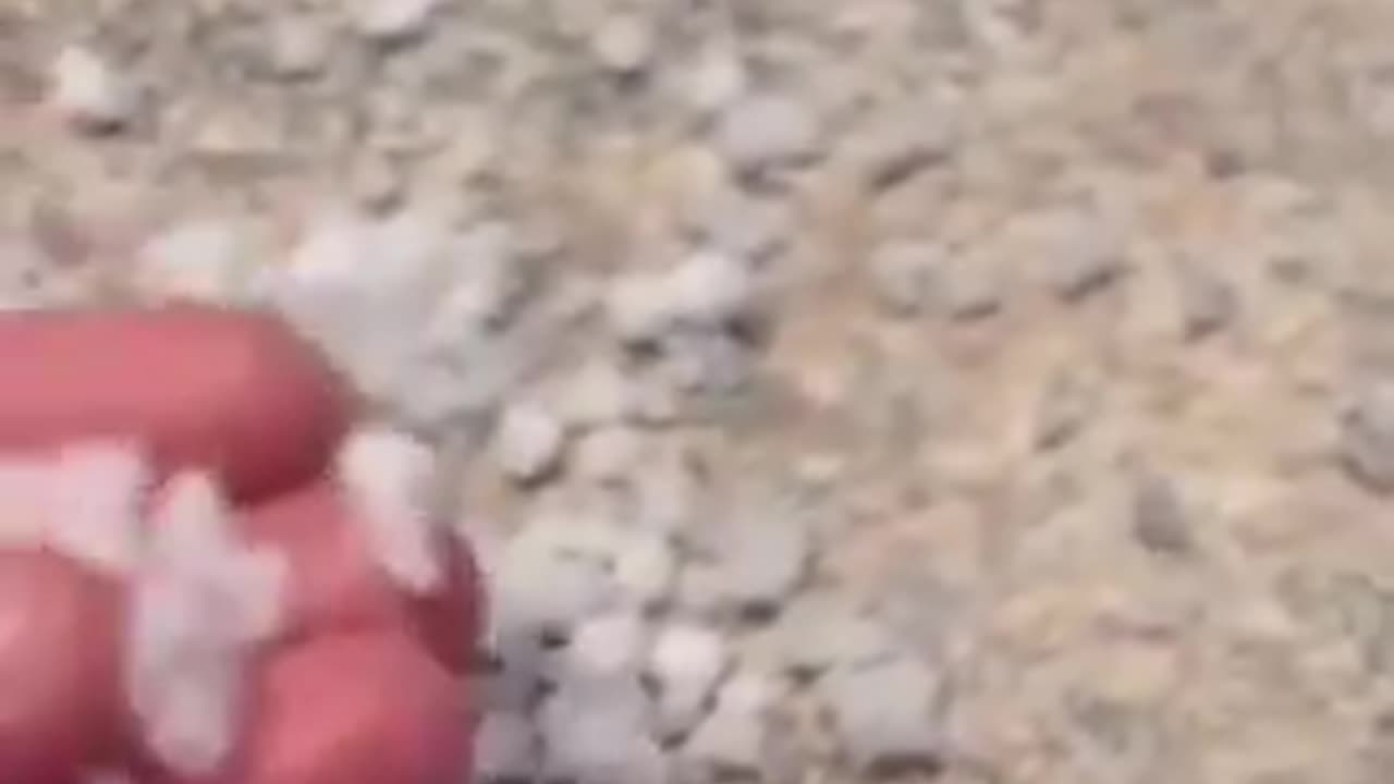 They got some really weird Styrofoam like snow in Pennsylvania...don't eat it