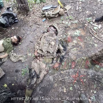 A pack of discarded Aryans