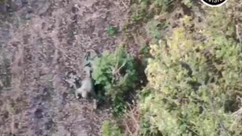 Lone Russian Soldier Crawling On Hands and Knees as Drones Look On