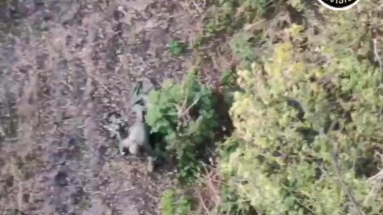 Lone Russian Soldier Crawling On Hands and Knees as Drones Look On