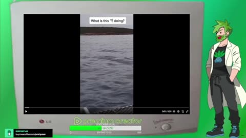 Prof.Grass Replay: The Green Pill