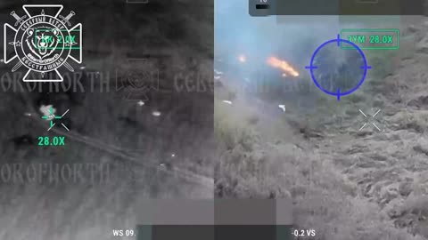 Ukraine war combat/related footage 12/29/25