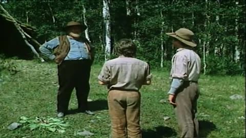 Baker's Hawk (Western 1976) Clint Walker
