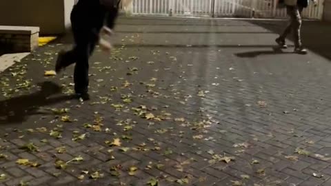 🚨This is what happens when everyone leaves the ice facility late late at night….