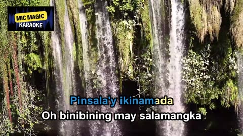 SINING - DIONELA FT JAY R - BEST HD KARAOKE