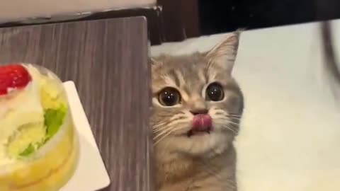 MOM... MOM.... MOOOOOMMMMMM