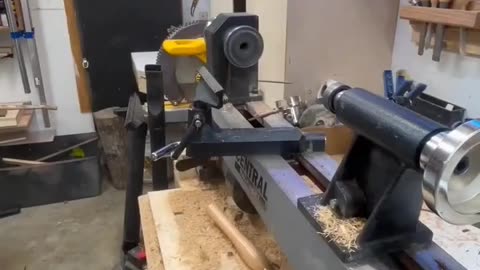 🌳👨‍🌾 He's Disappeared Into the Forest! | FunFM