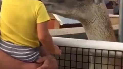 OopsTV Shorts Brutal Fails Ep17