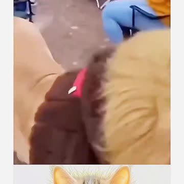 You Can't Stop Your Laughing 😂🤣😂