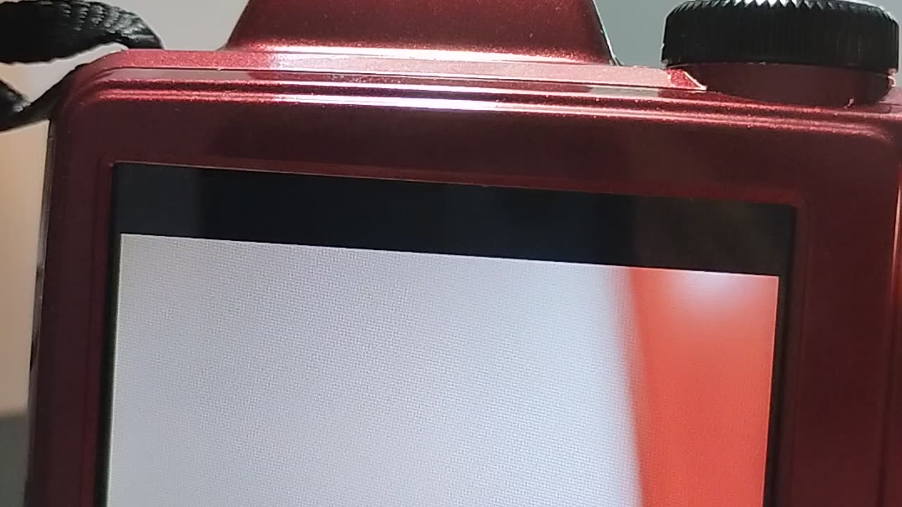Shia, video recorded Oct 7, '25 by Alyssa