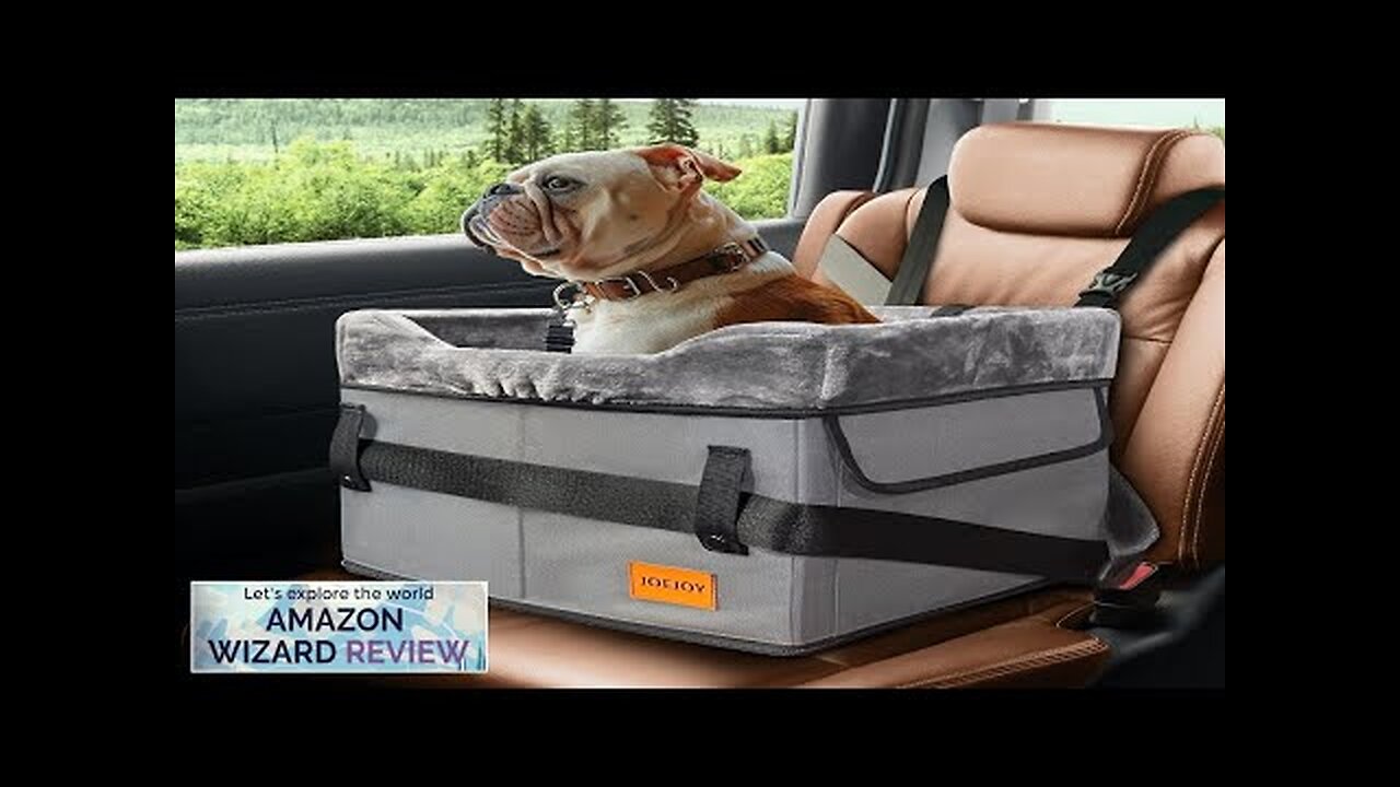 JOEJOY Small Dog Car Seat for Small Dogs Portable Puppy Dog Booster Review