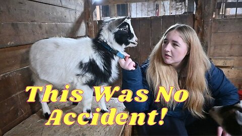 EVERYTHING Happens For A REASON!