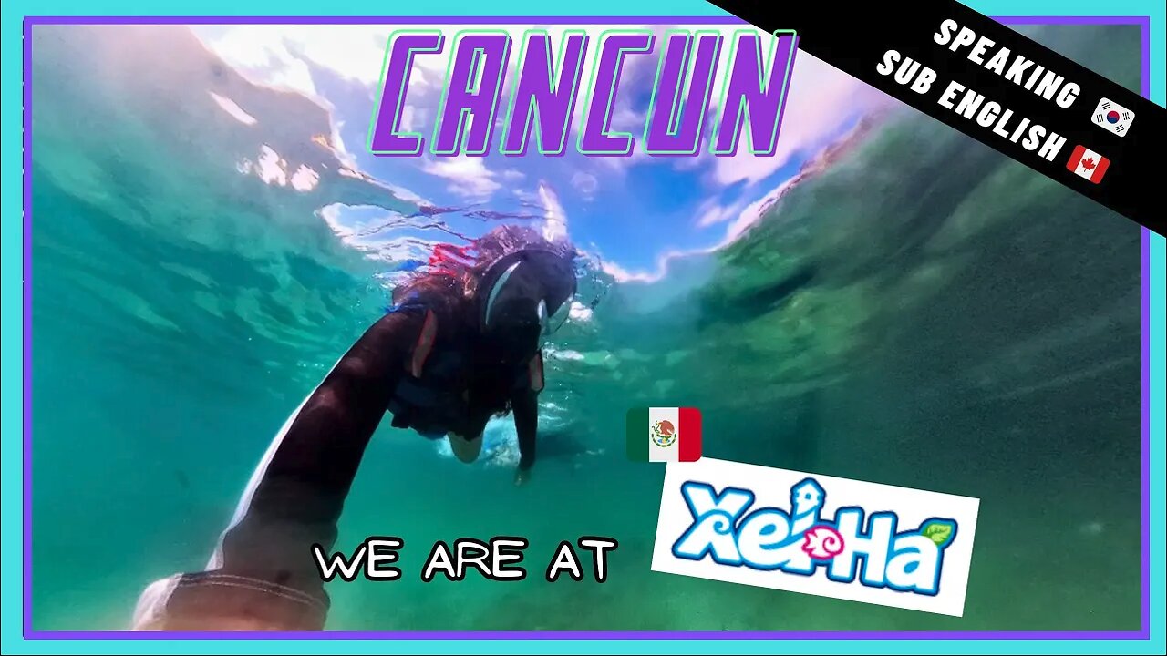 Snorkeling × Drinking free tequila in Xelha, Mexican Cancun, Is this the heaven? [ep3] 🇲🇽