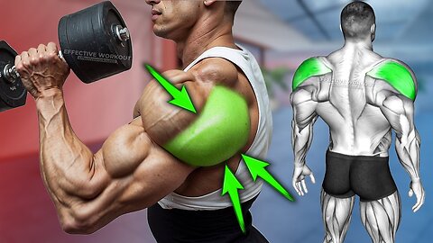 How to Grow Your Rear Delts Fast (6 Best EX)​