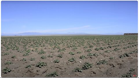 Idaho shuts down farmers water so Idaho will fail