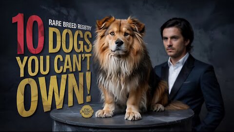 10 Dog Breeds You Probably Can't Own