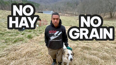 We Feed Our Animals for FREE - Even in the Dead of Winter