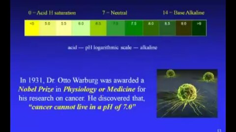 The REAL Truth About the Body's Acid ⧸ Alkaline Balance (2012 Interview) By Paul Counsel