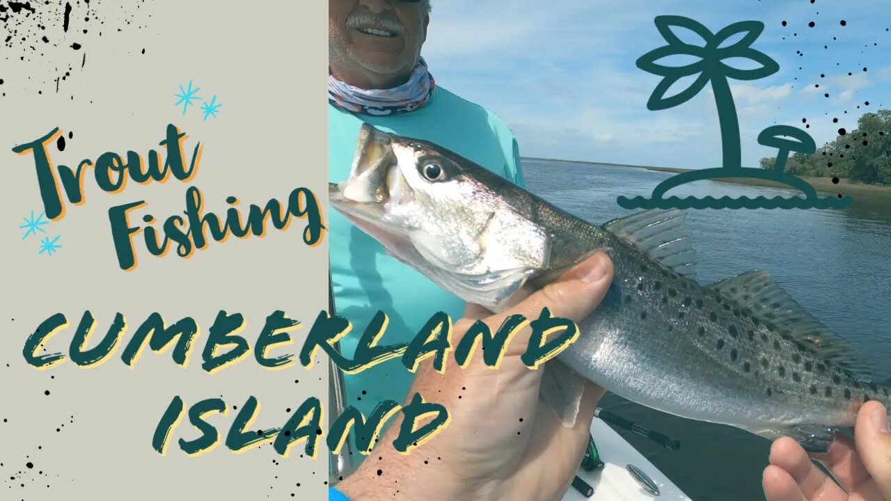 Cumberland Island Trout, Gator and Manatee