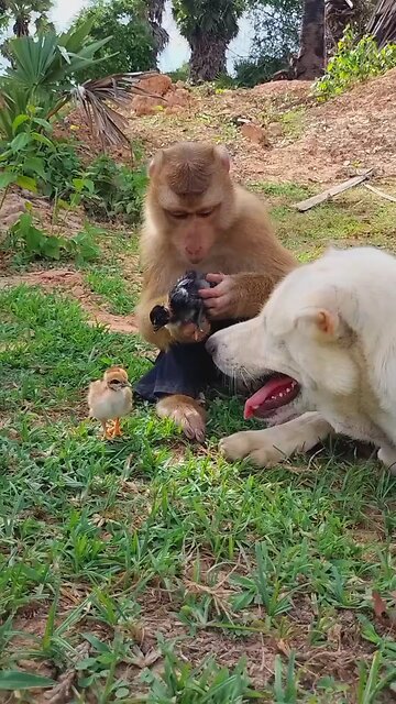 Good Job Best SokYaa, OG, Pao & Mom Are Famous Around The World #shorts #anime #trend #edit