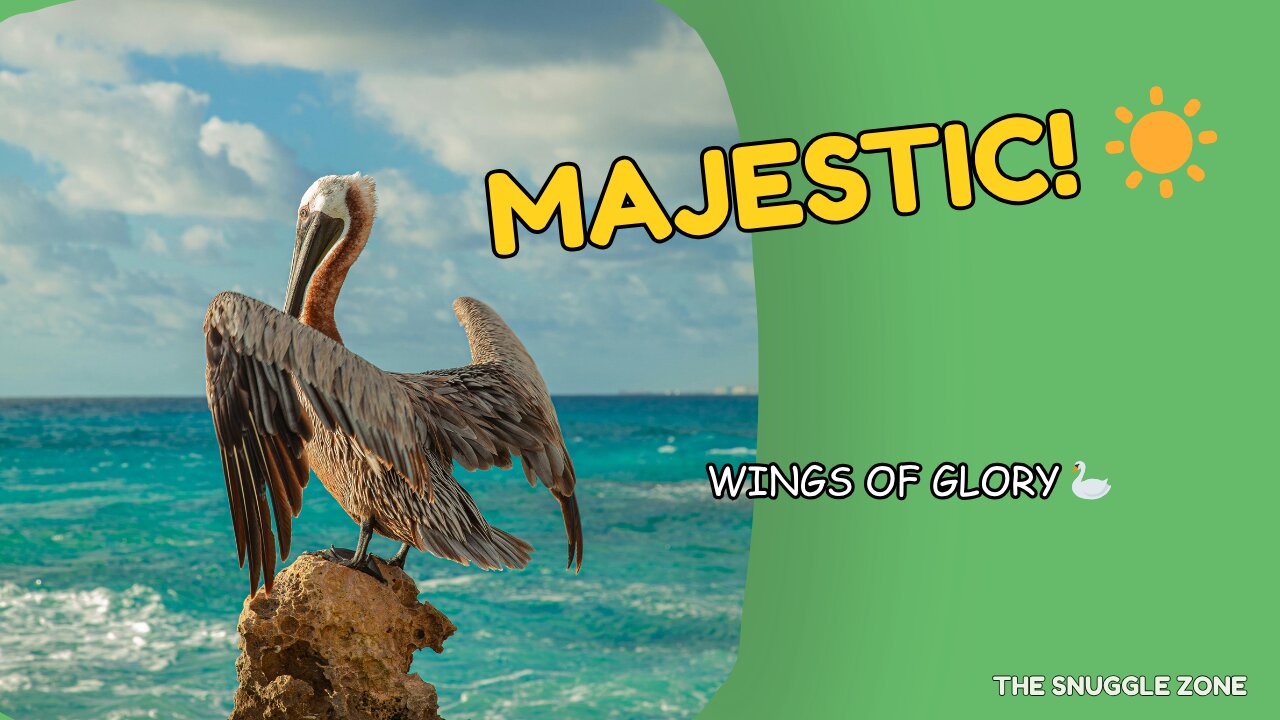 PELICAN SPREADS WINGS IN THE SUN ☀️🦢 | Majestic Bird Moment