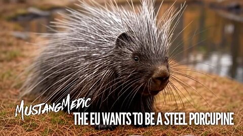 BREAKING NEWS🚨 EU’s possibly dropping BILLIONS 💰 to turn into a “Steel Porcupine?”🦔