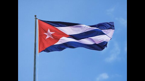 Vibin' with the Vidya