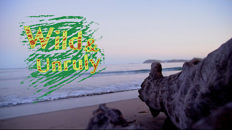 Dawn on the Beach in Costa Rica