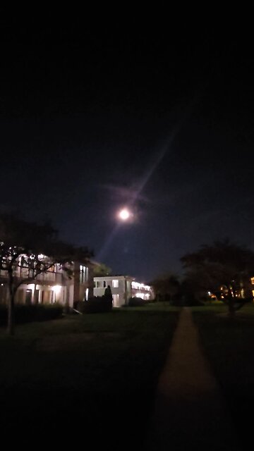 I'm Watching the Moon Tonight