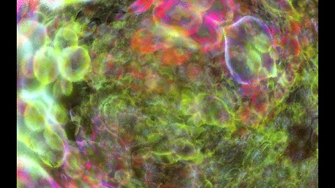 Classic House Mix Vol. 23