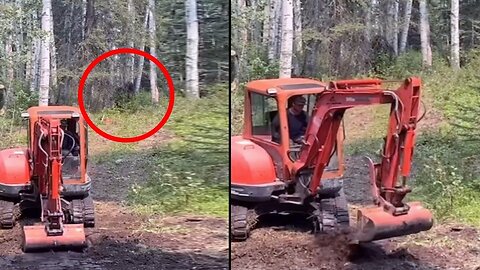 Logger Records Something BIG Watching Him From The Trees