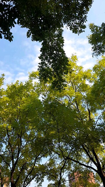 20251029. God creatd the heaven and the earth.